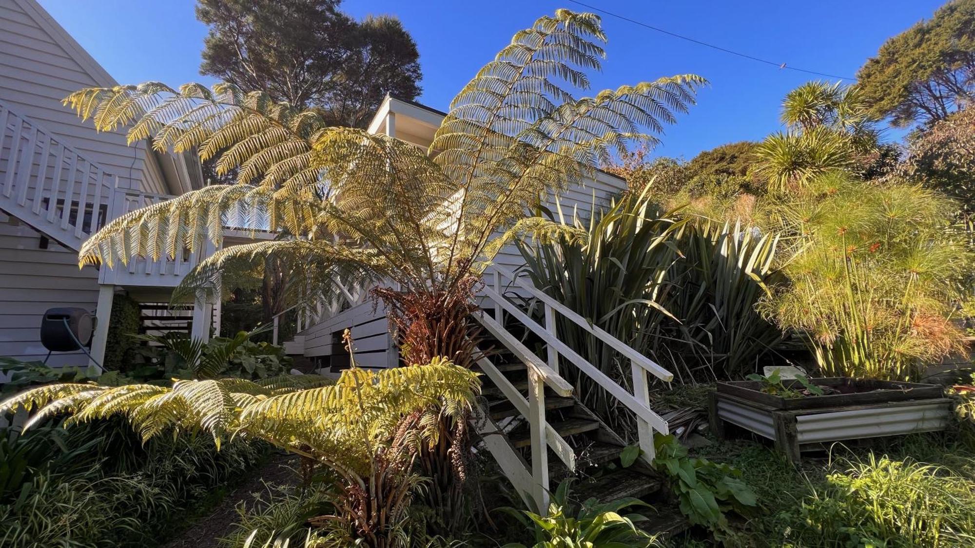 Hekerua Lodge Backpackers Oneroa Exterior foto